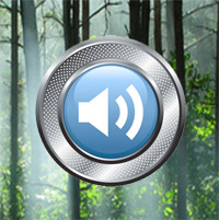 Inner Theater Download Wise Inner Helper